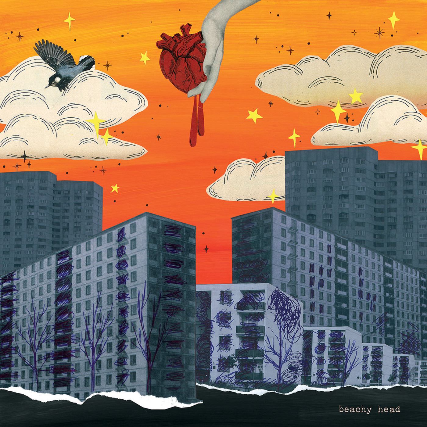 LONGITUD D’ONA nº 441 (Edición nº 34/2021 Temporada 14) episode artwork