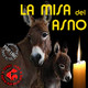 La Misa del Asno - (18-10-2019)