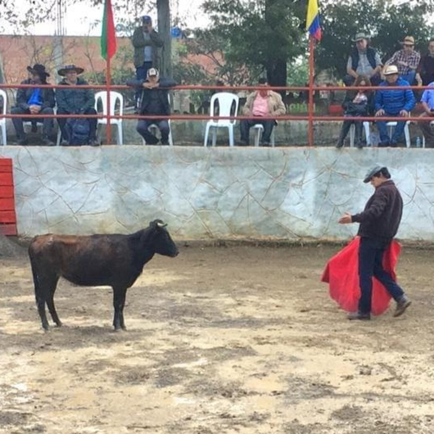 Tauromaquia: ¿cultura o tortura? Aquí, una versión episode artwork