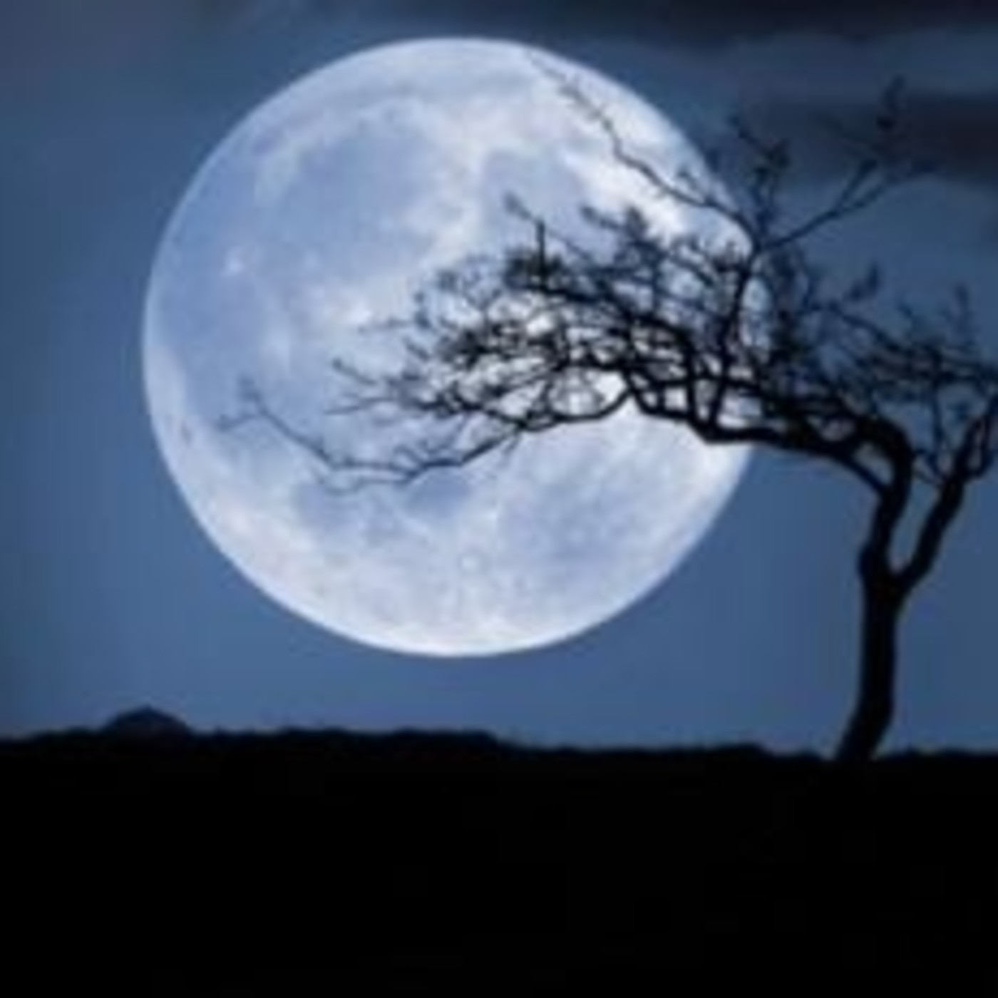 El niño que soñaba con acariciar la luna episode artwork