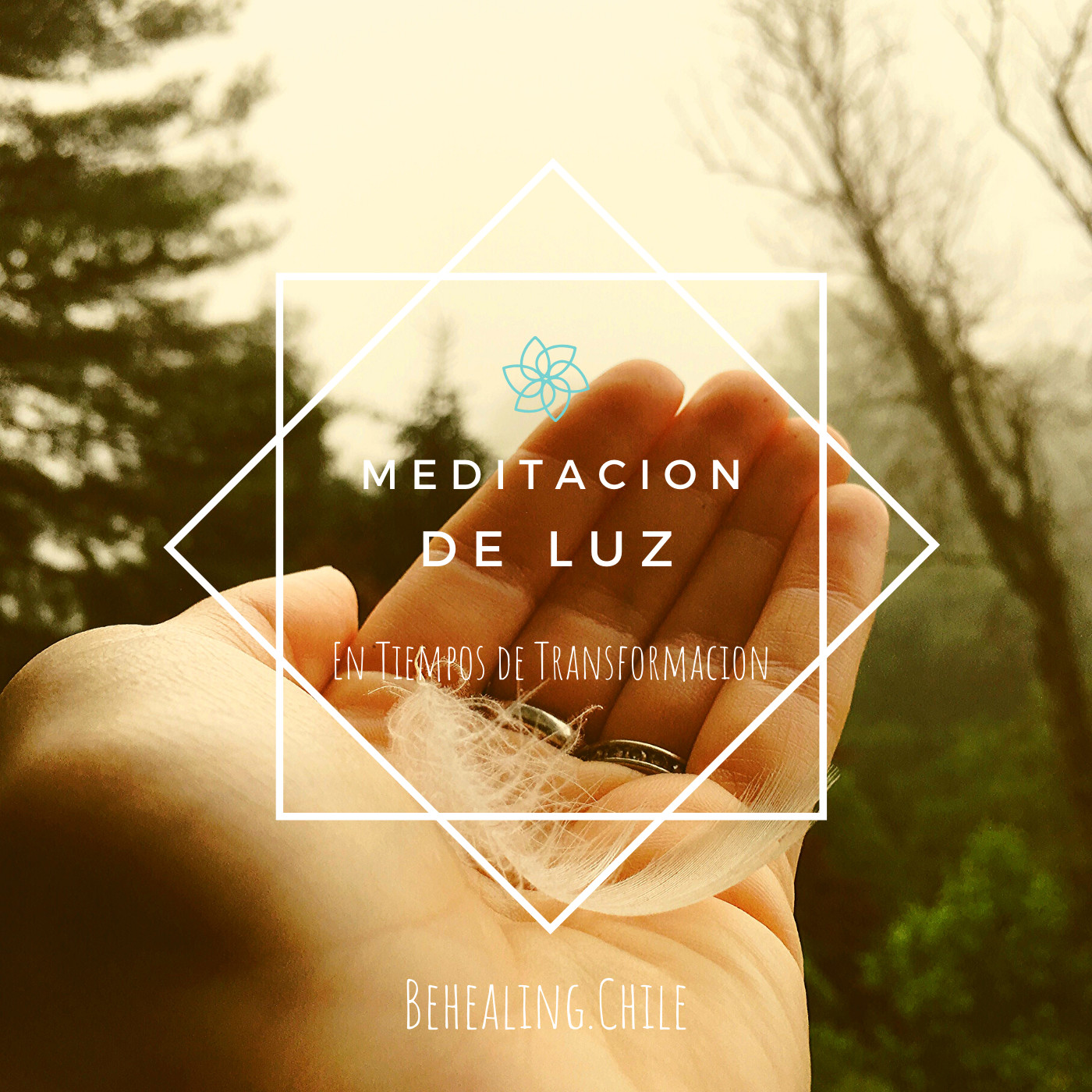 Behealing.chile