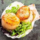 Cocinando vieiras en ensalada de rechupete con Juanma Zamorano