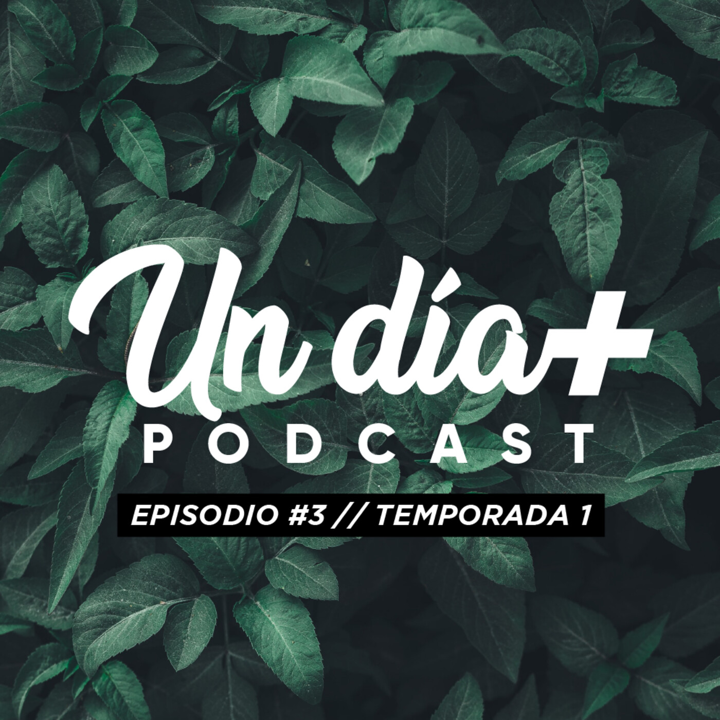 Cheo y Vivi Podcast