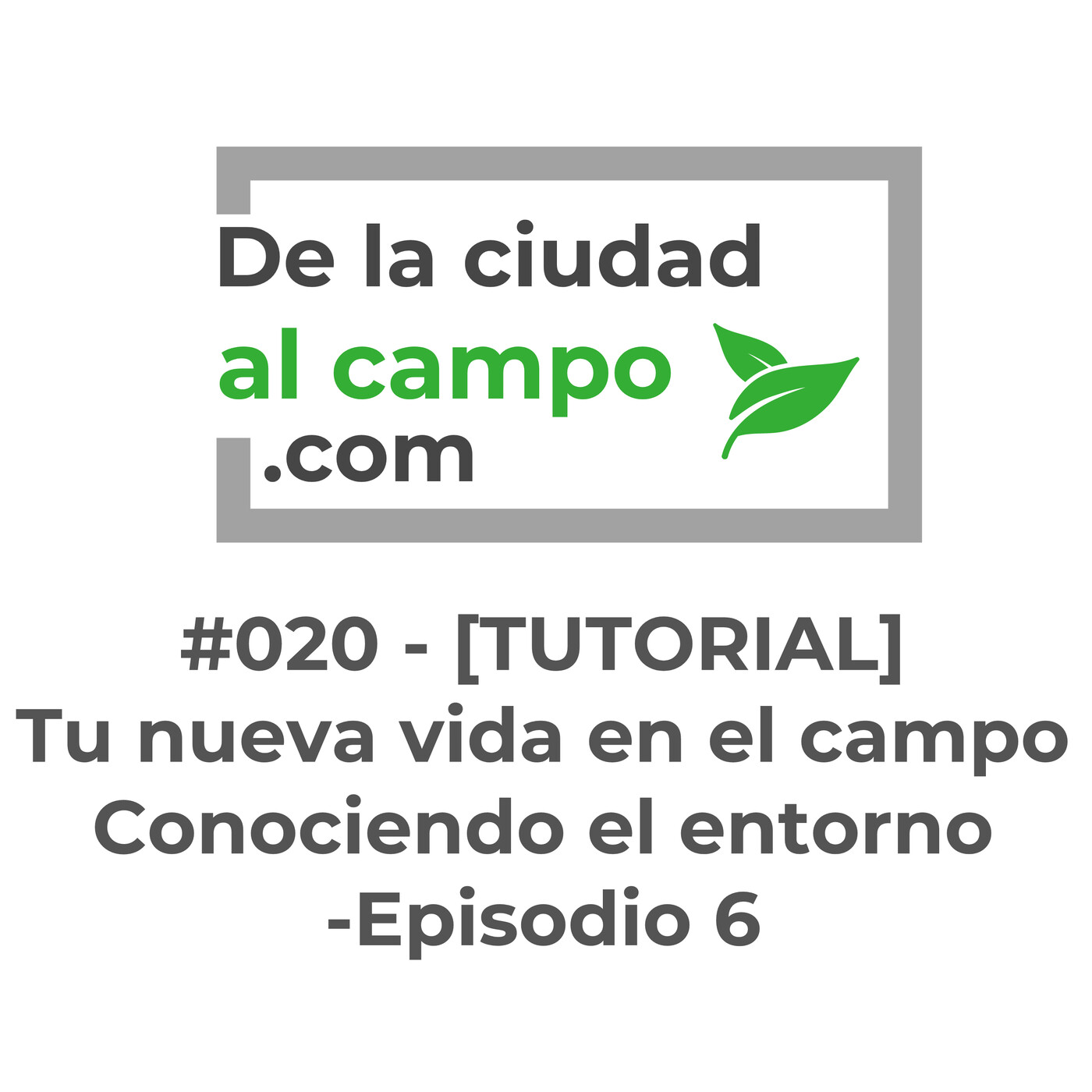 De la ciudad al campo