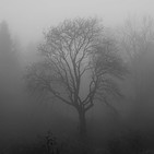 Programa 269. ¡Sí a la vida! a pesar de todo. Melancolía y depresión en invierno