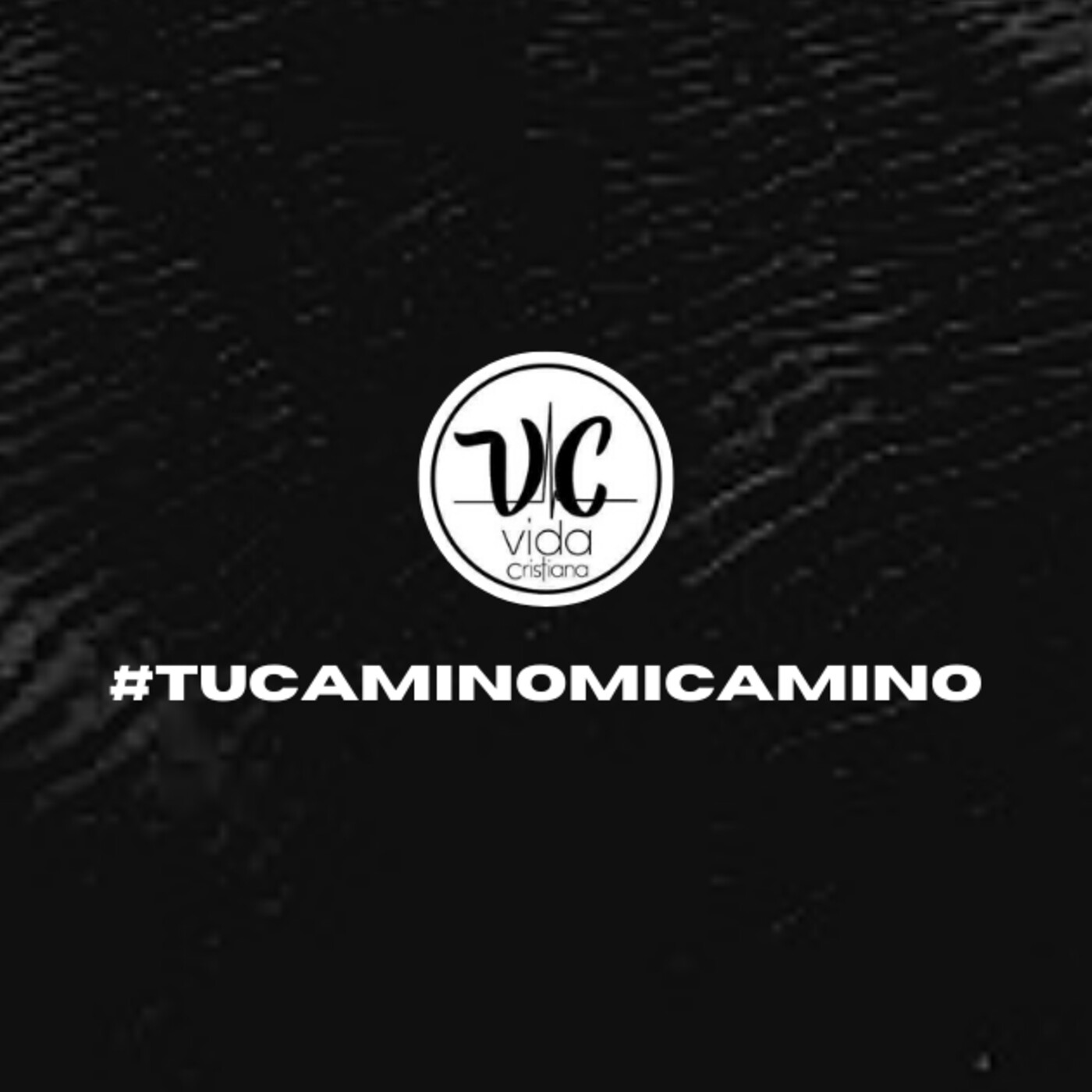 Vida Cristiana Puebla