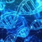 Biodonostia avanza en la lucha contra enfermedades neurodegenerativas.