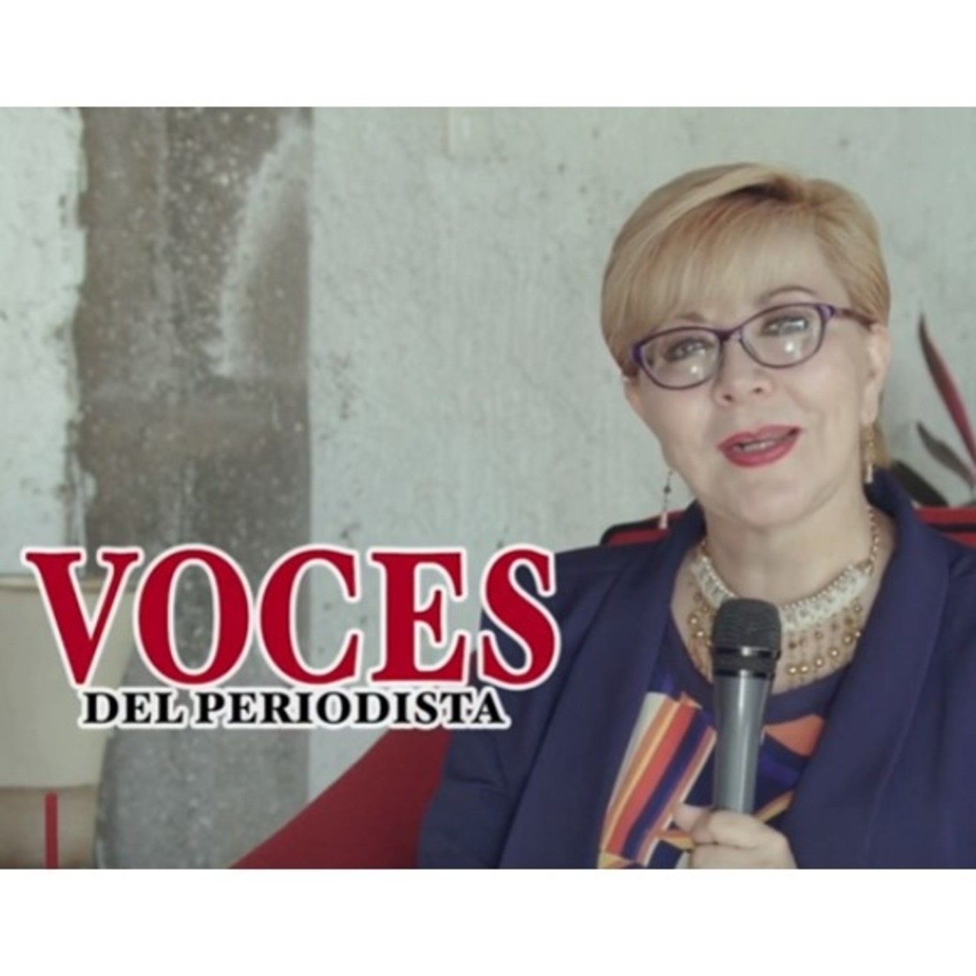 Voces del Periodista - Club de Periodistas