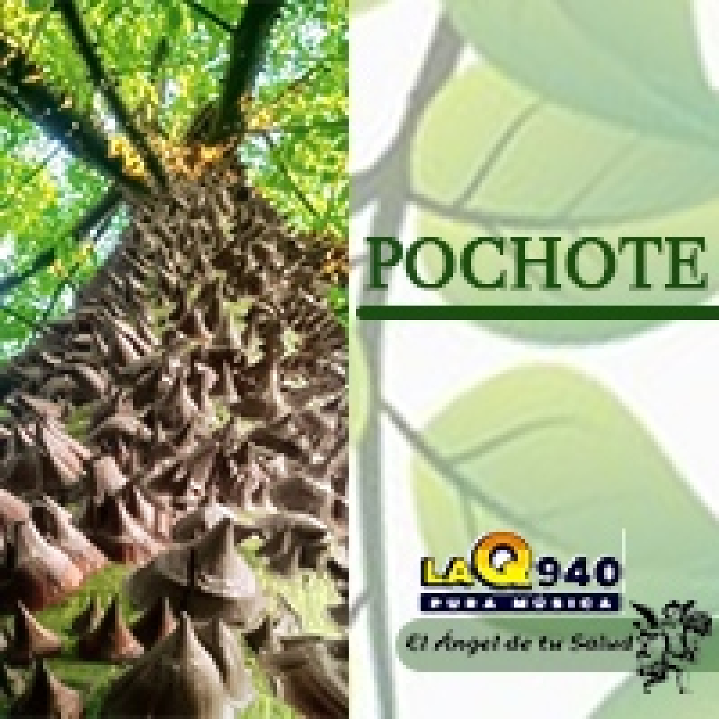 El Ángel de tu Salud - Pochote** episode artwork