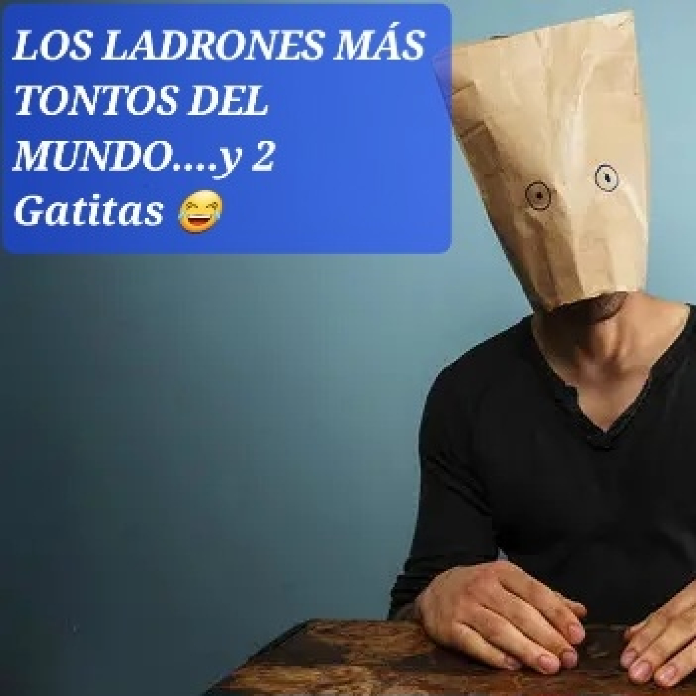 CRÓNICAS DE UN SERENO . ( El gato negro)