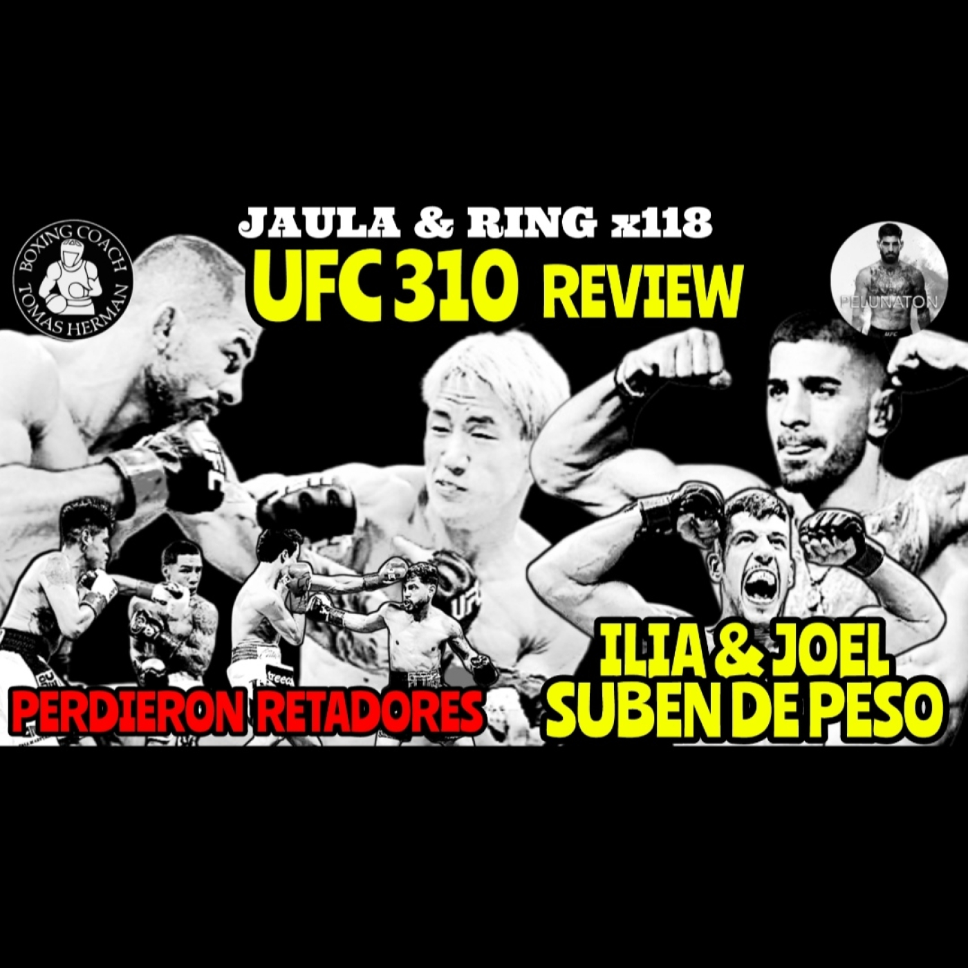 UFC 310 Review | ILIA & JOEL suben de peso — Tomás Hermán cover