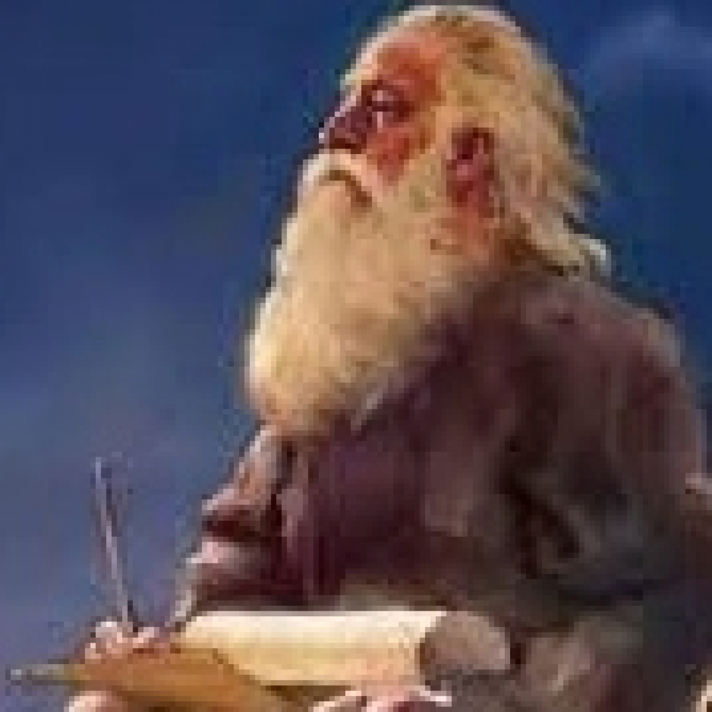 Juan Carlos Parra