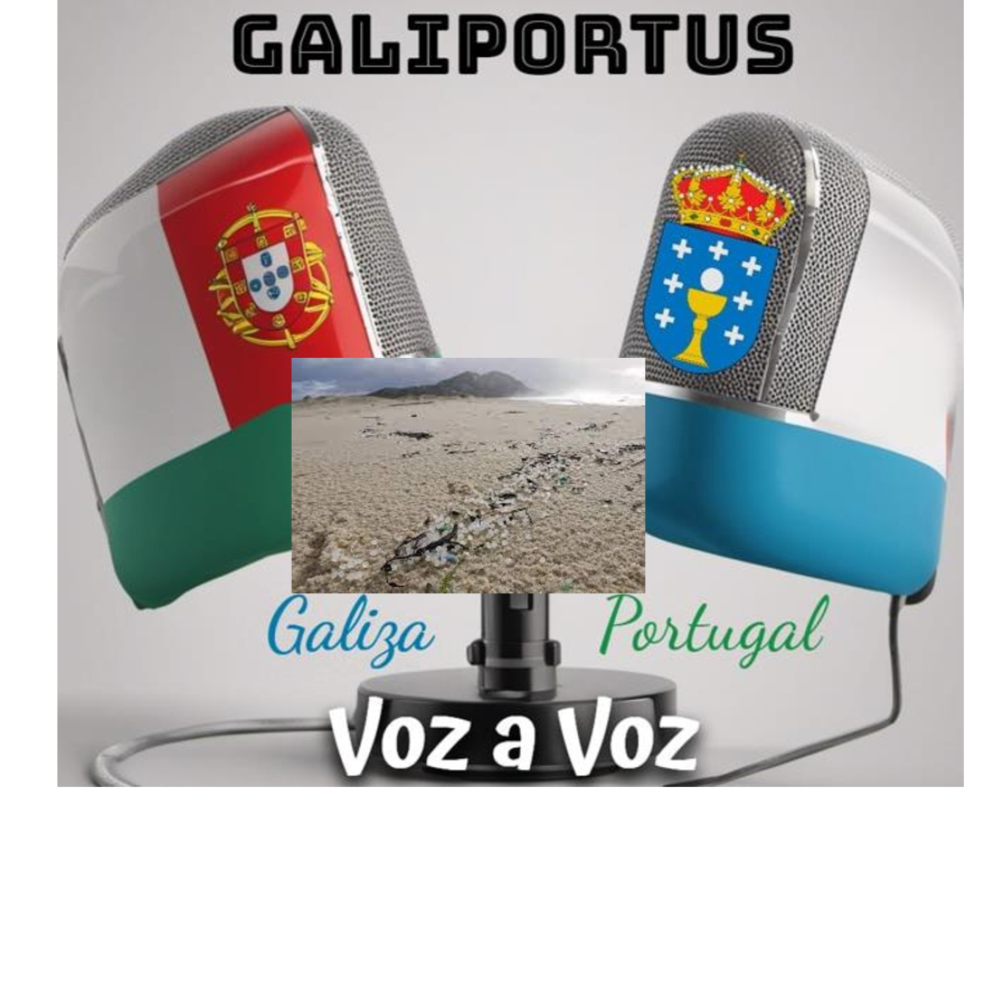 GALIPORTUS
