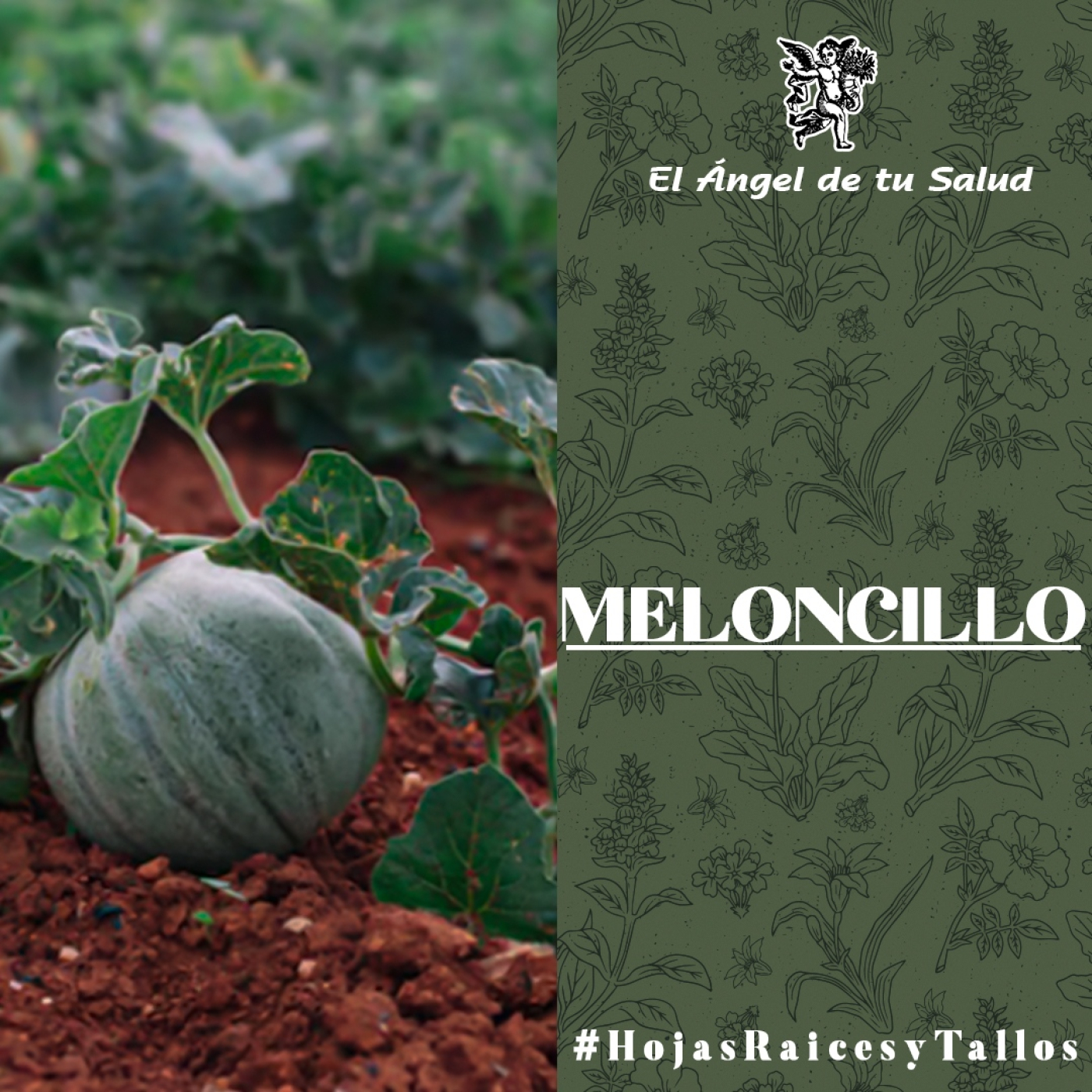 El Ángel de tu Salud - Meloncillo** episode artwork