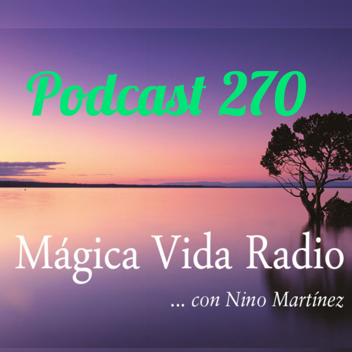 Mágica Vida Radio