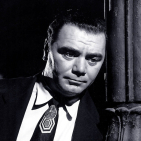embed image