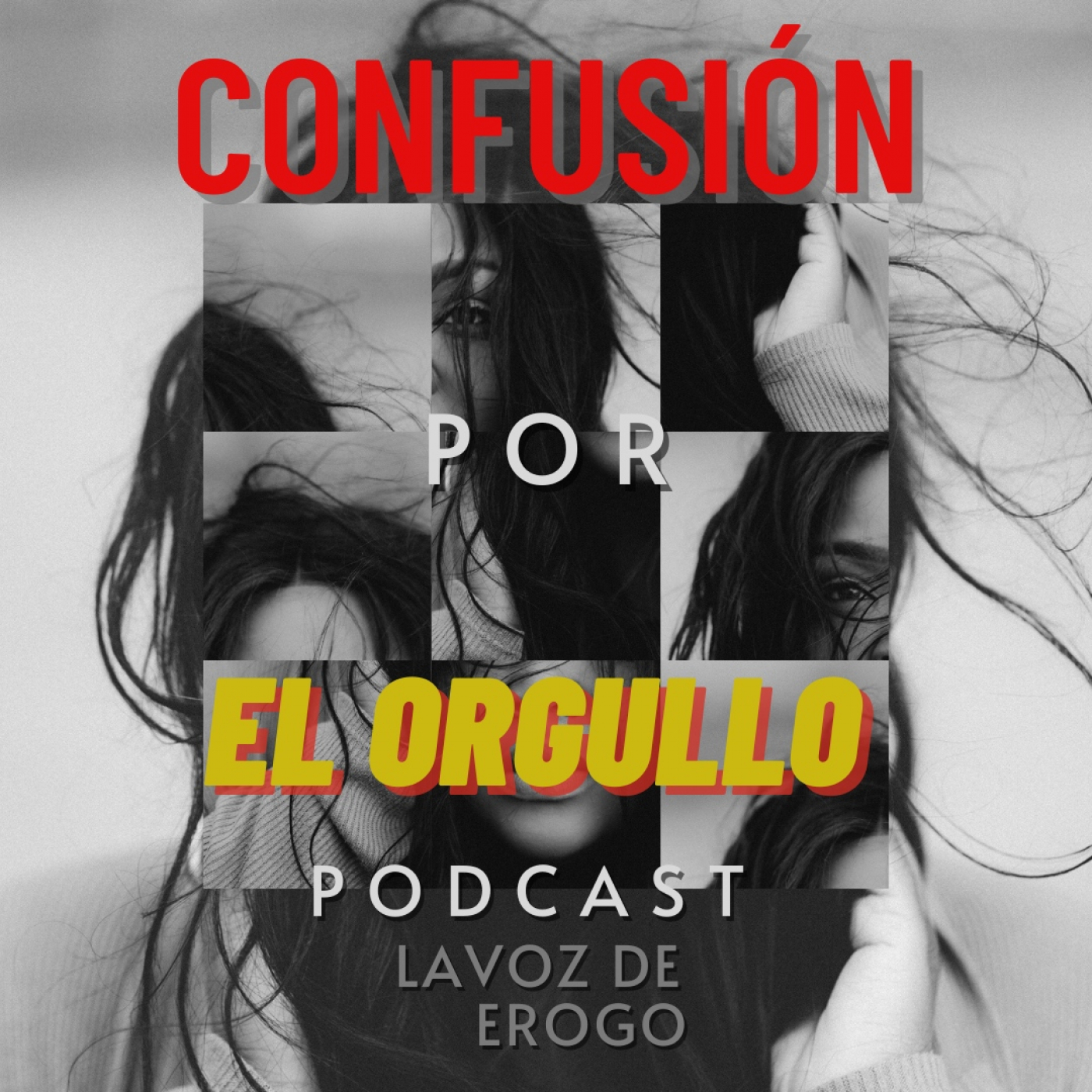 LA VOZ DE EROGO