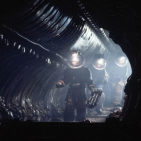 embed image
