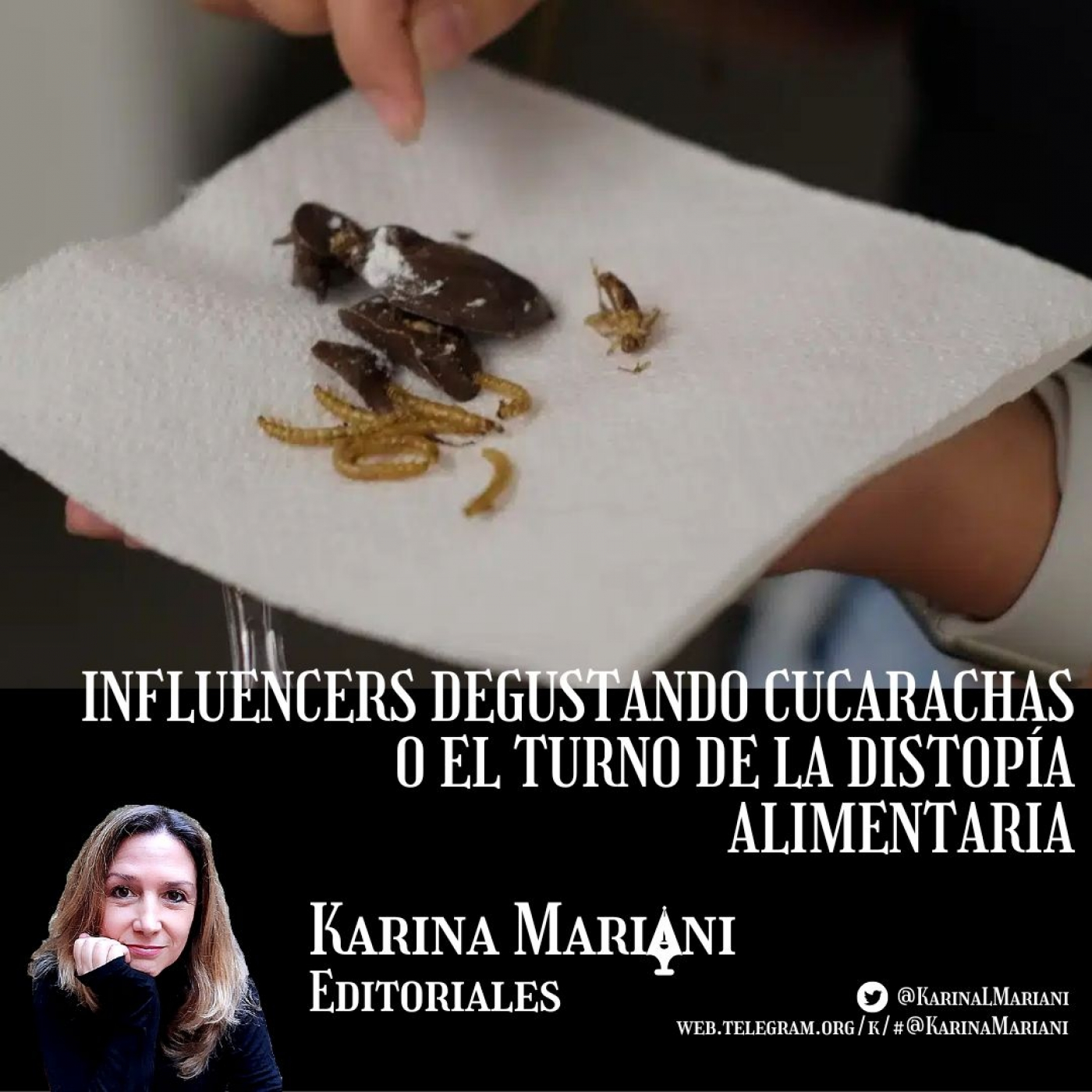 Karina Mariani Editoriales