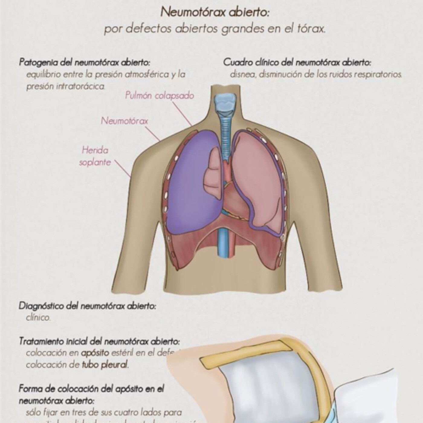 El rincón del técnico de emergencias sanitarias