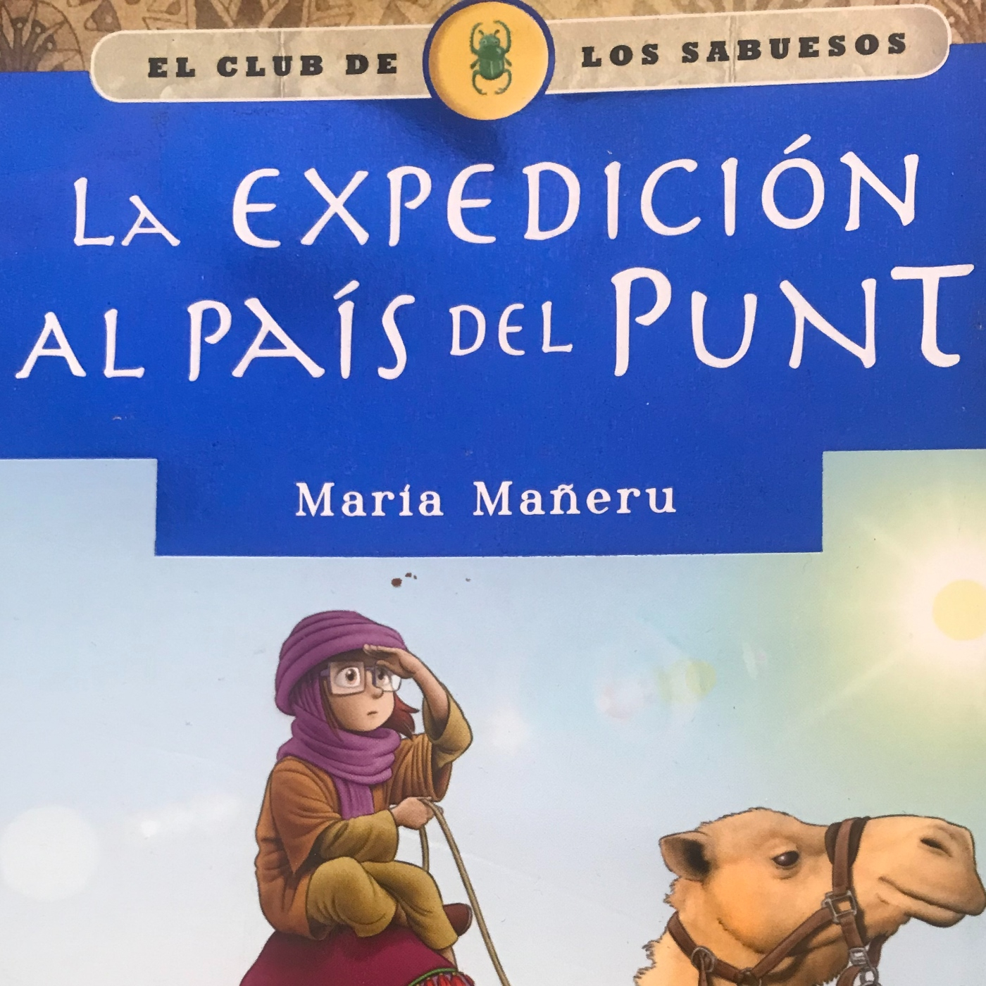 La expedición al País del Punt. Segunda parte.