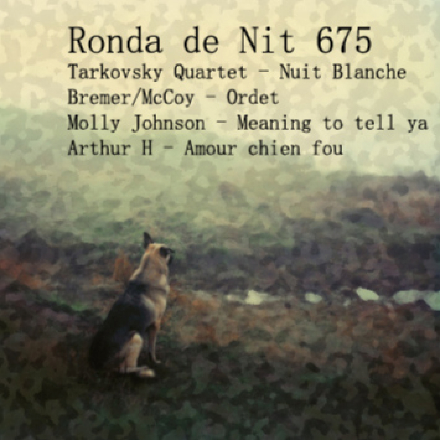 Ronda de Nit