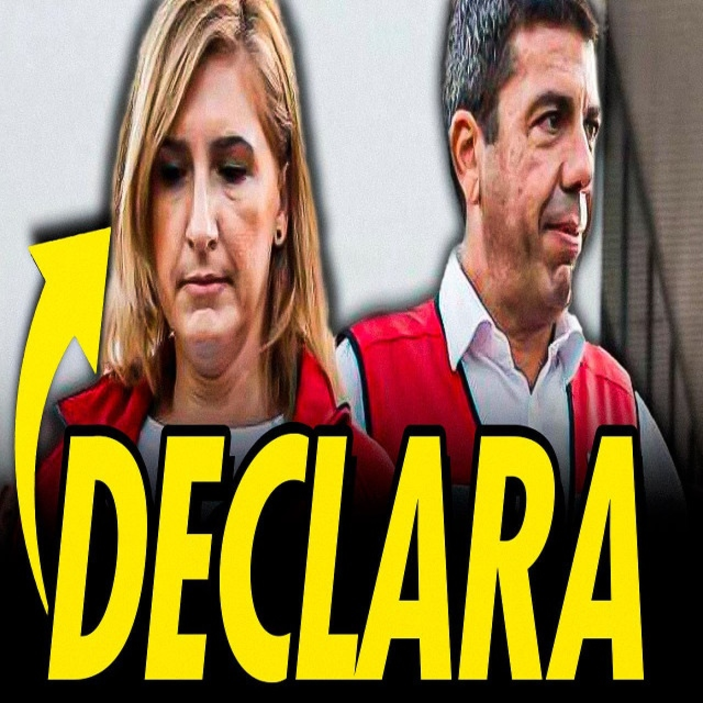 Salomé pradas declara y niega su responsabilidad como mando único de la dana