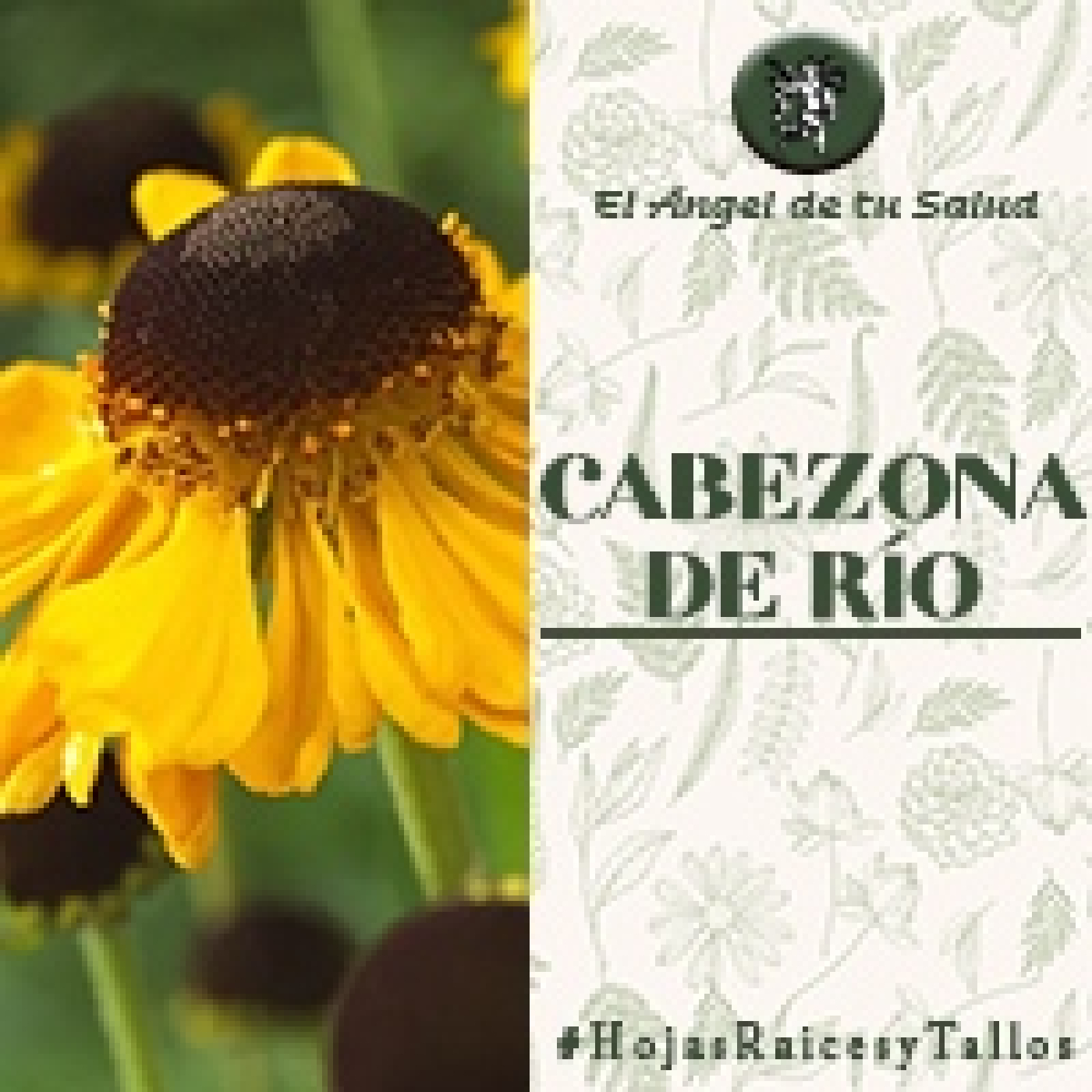 El Ángel de tu Salud - Cabezona de Río** episode artwork