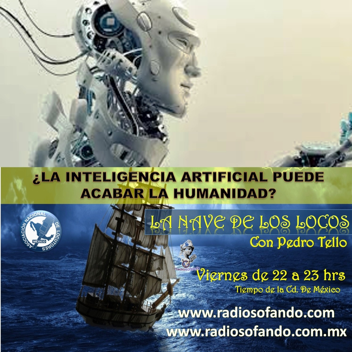 La Nave de los Locos_LA INTELIGENCIA ARTIFICIAL PUEDE ACABAR LA HUMANIDAD_18-11-22 episode artwork