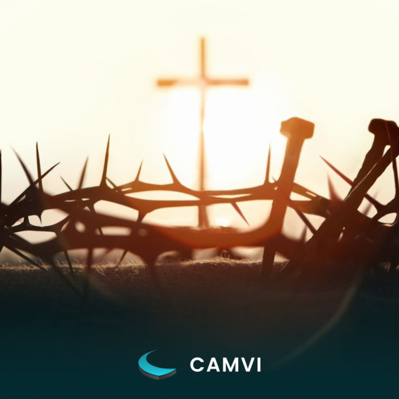 CAMVI