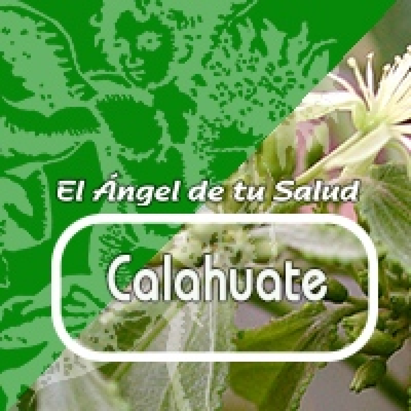 El Angel de tu Salud - CALAHUATE** episode artwork