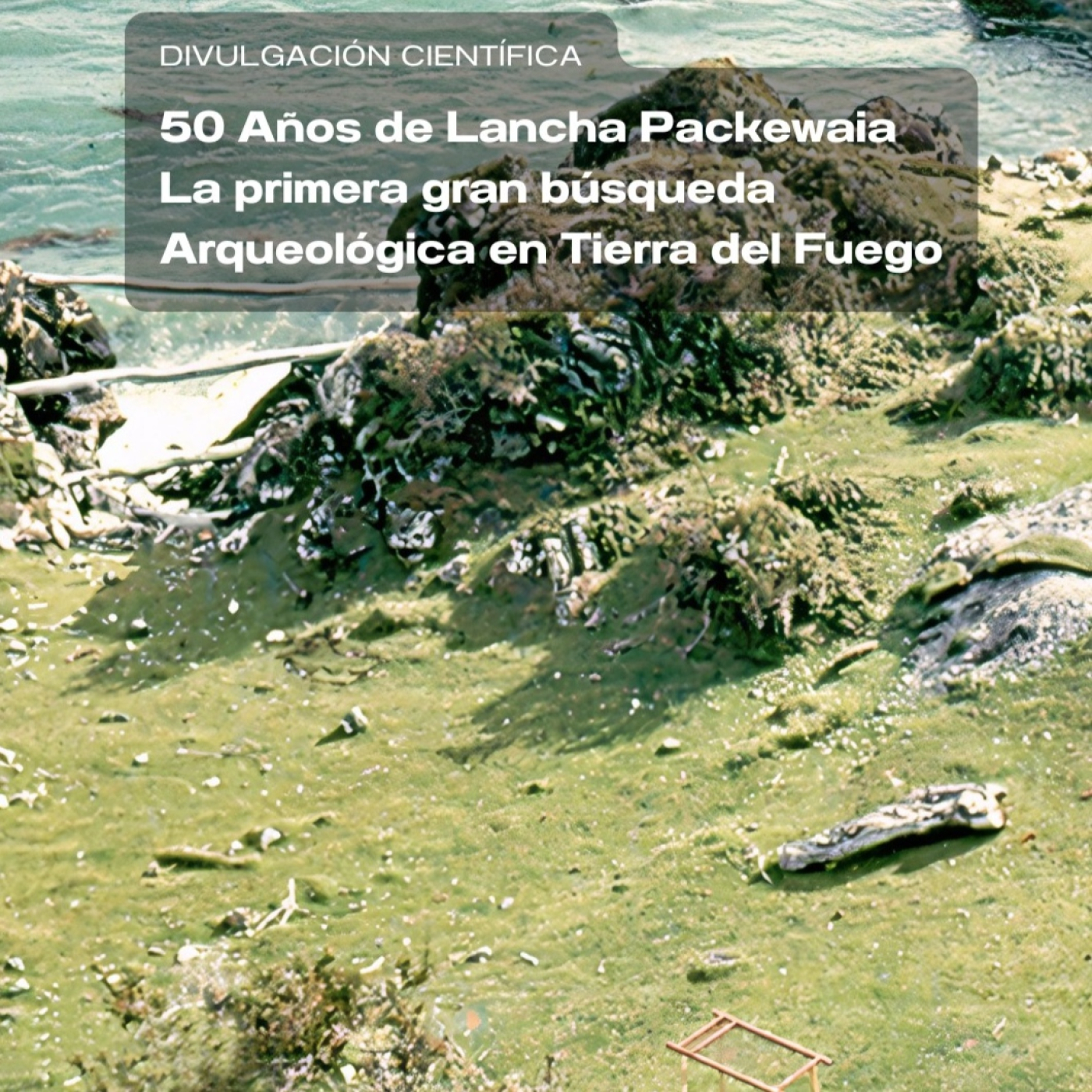 Eco Vida Ambiente
