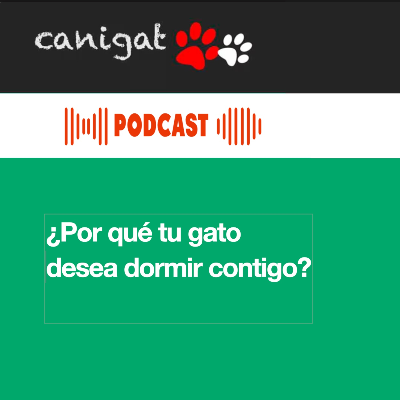 Consejos veterinarios de perros y gatos by canigat
