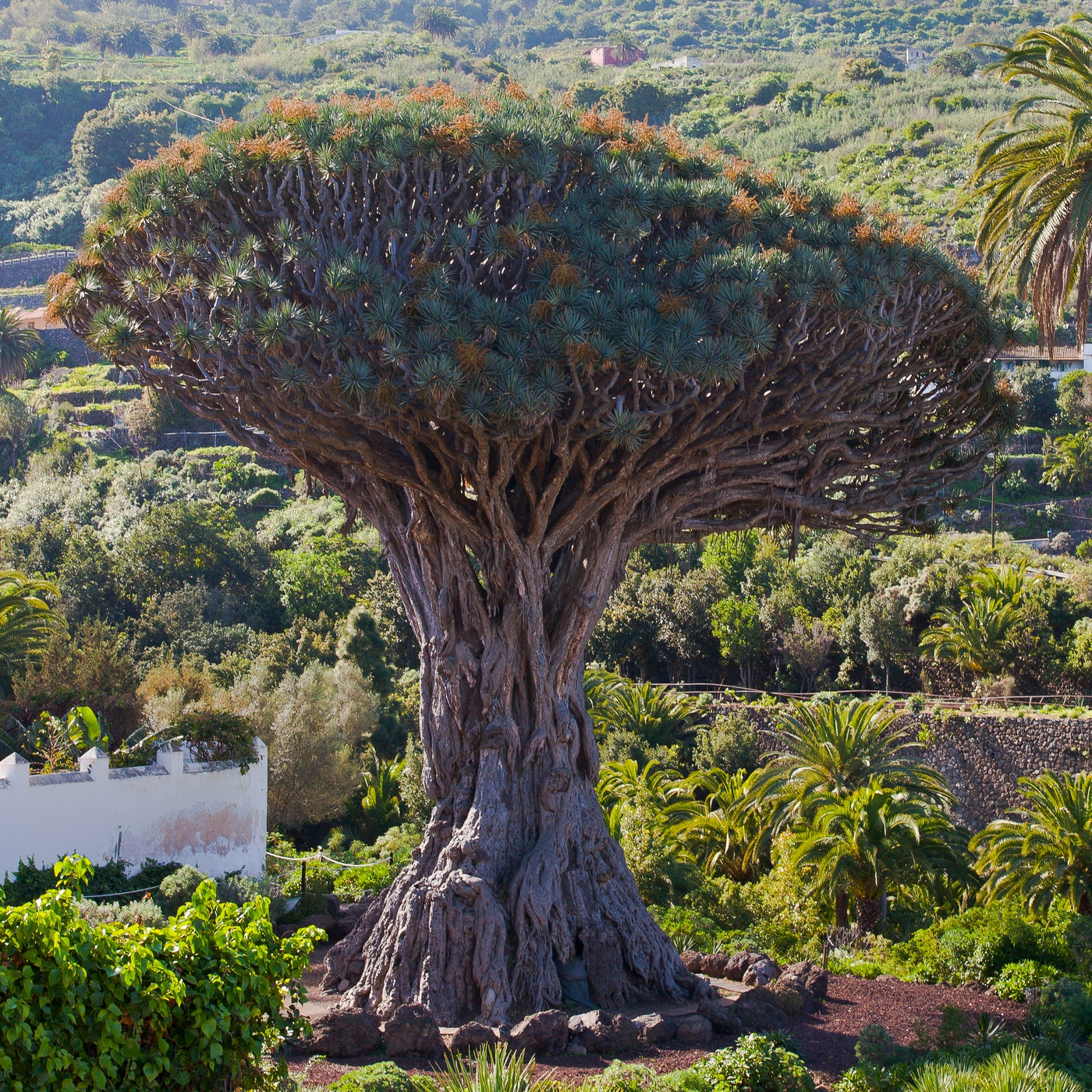 La Diez Capital Radio