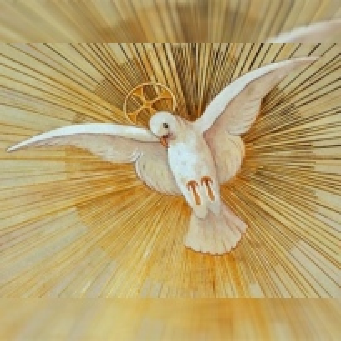 Liturgia Diaria