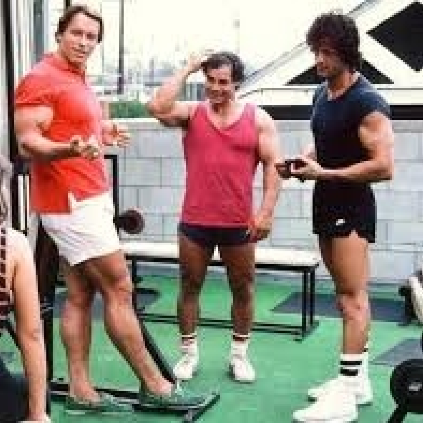 Stallone de mi vida