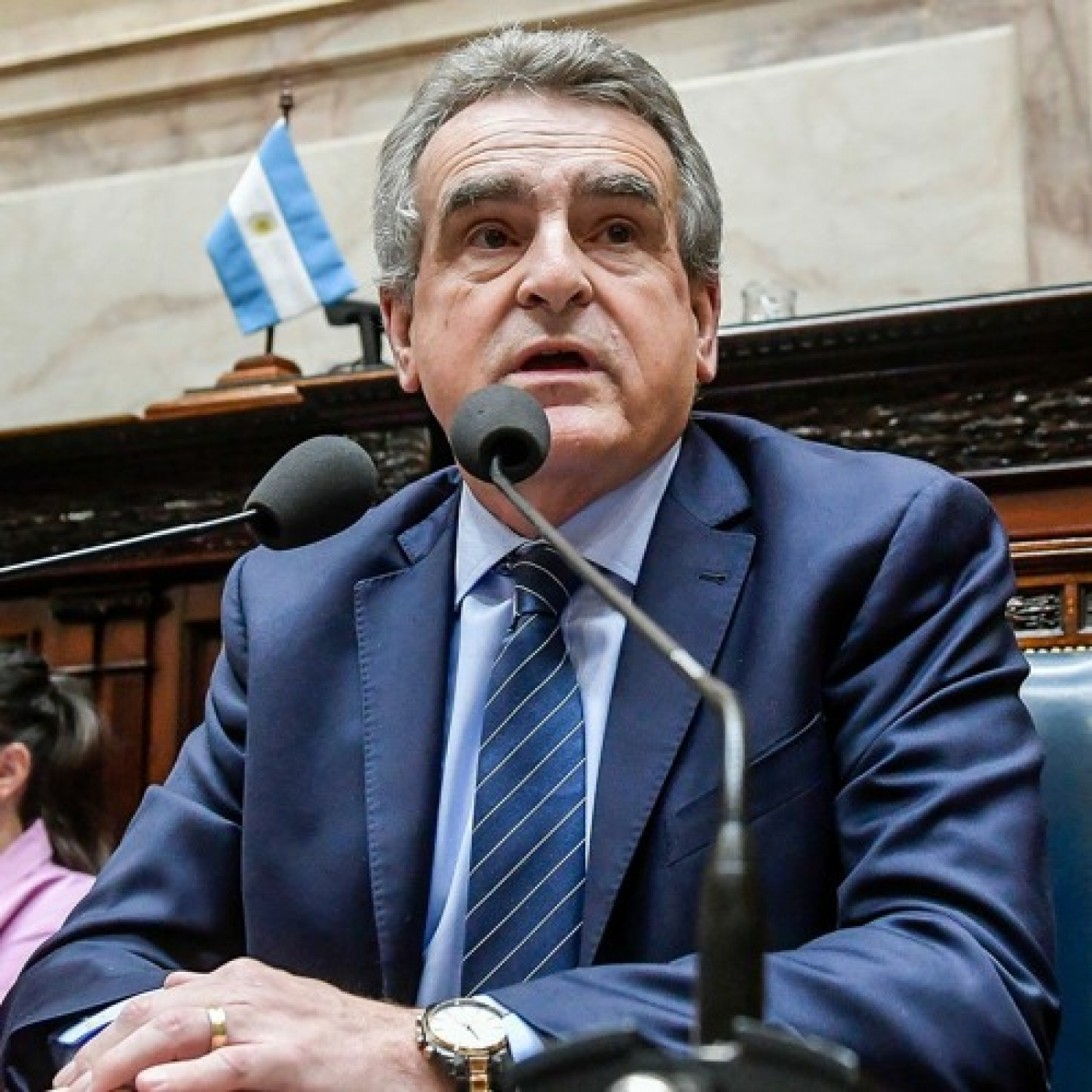 Agustín Rossi fue a Diputados episode artwork