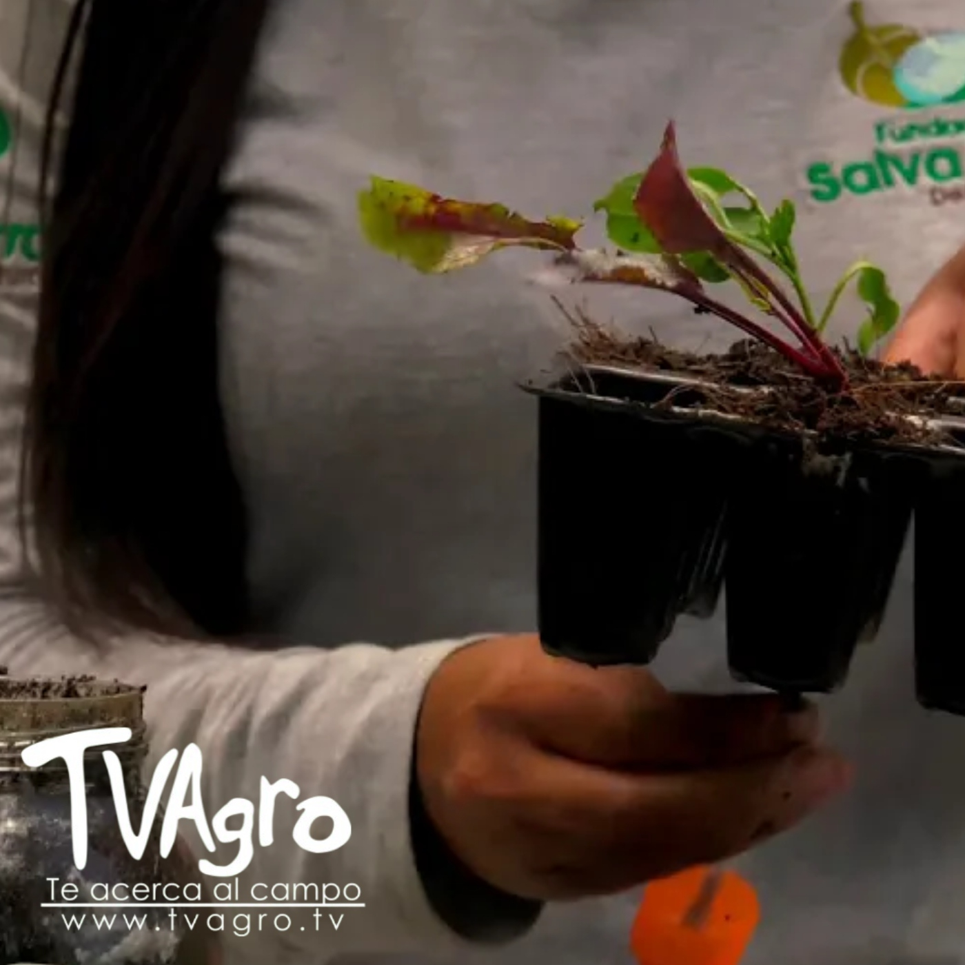 TV AGRO