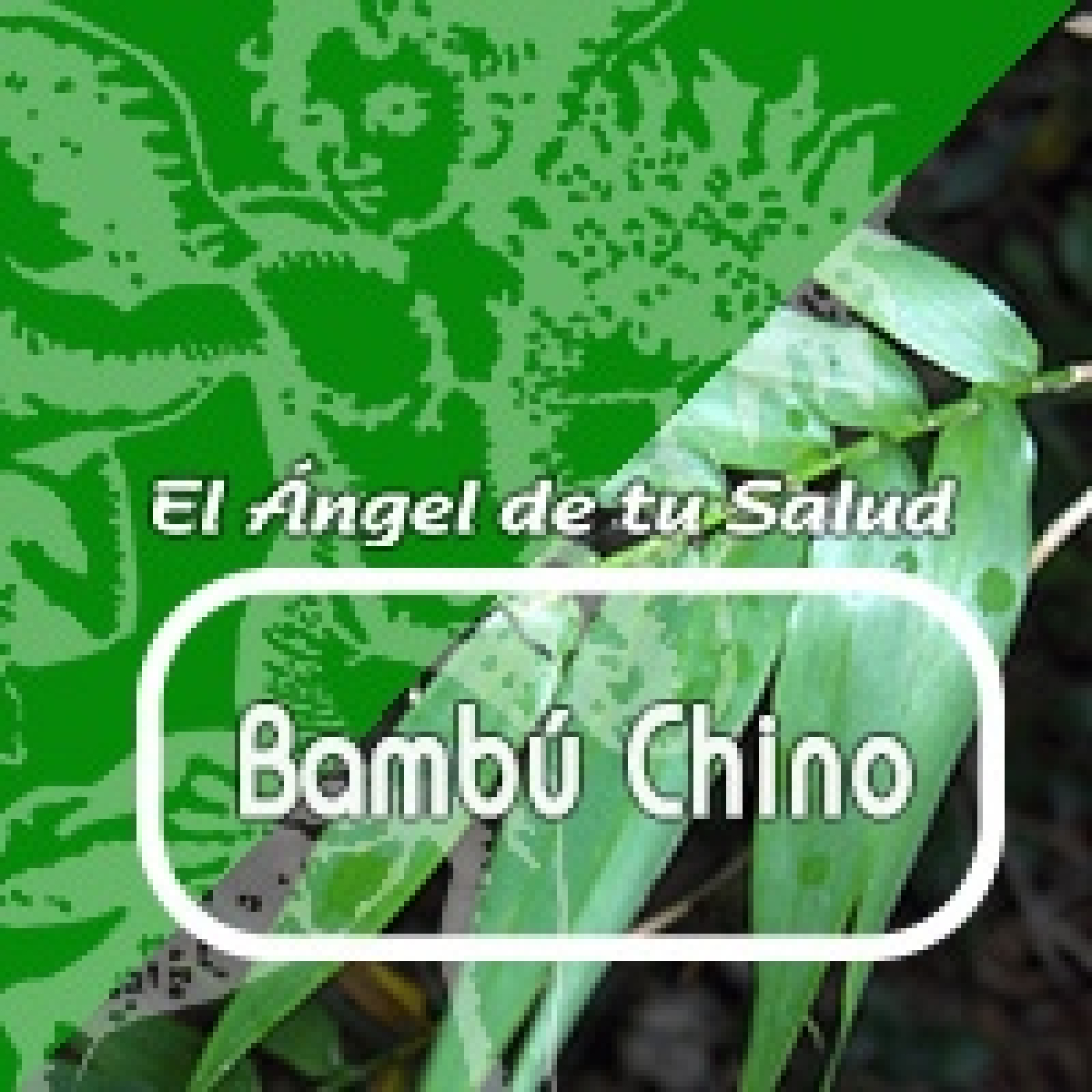 El Ángel de tu Salud -BAMBÚ CHINO ** episode artwork