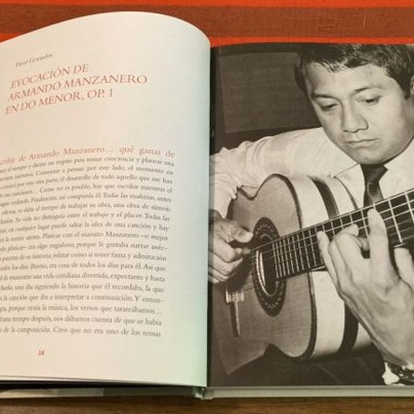 Apiedepágina IMER