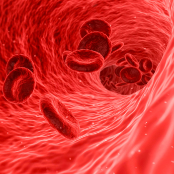 embed image