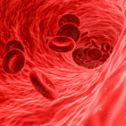 embed image