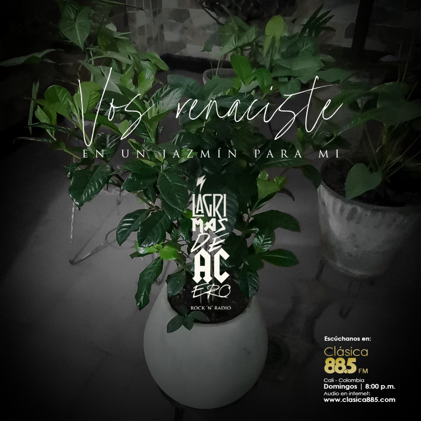 Lágrimas de Acero Podcast