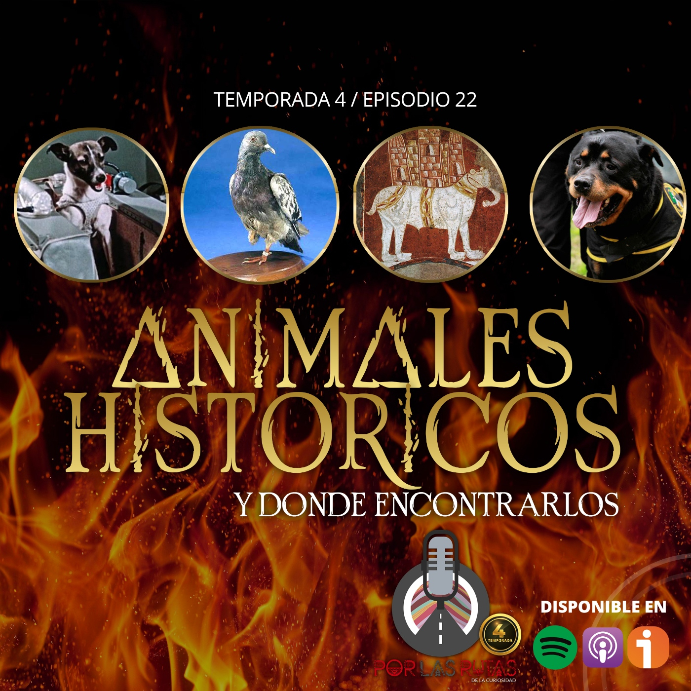 Por las Rutas de la Curiosidad