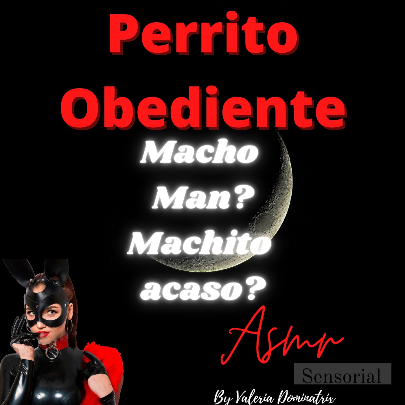 Perrito Obediente