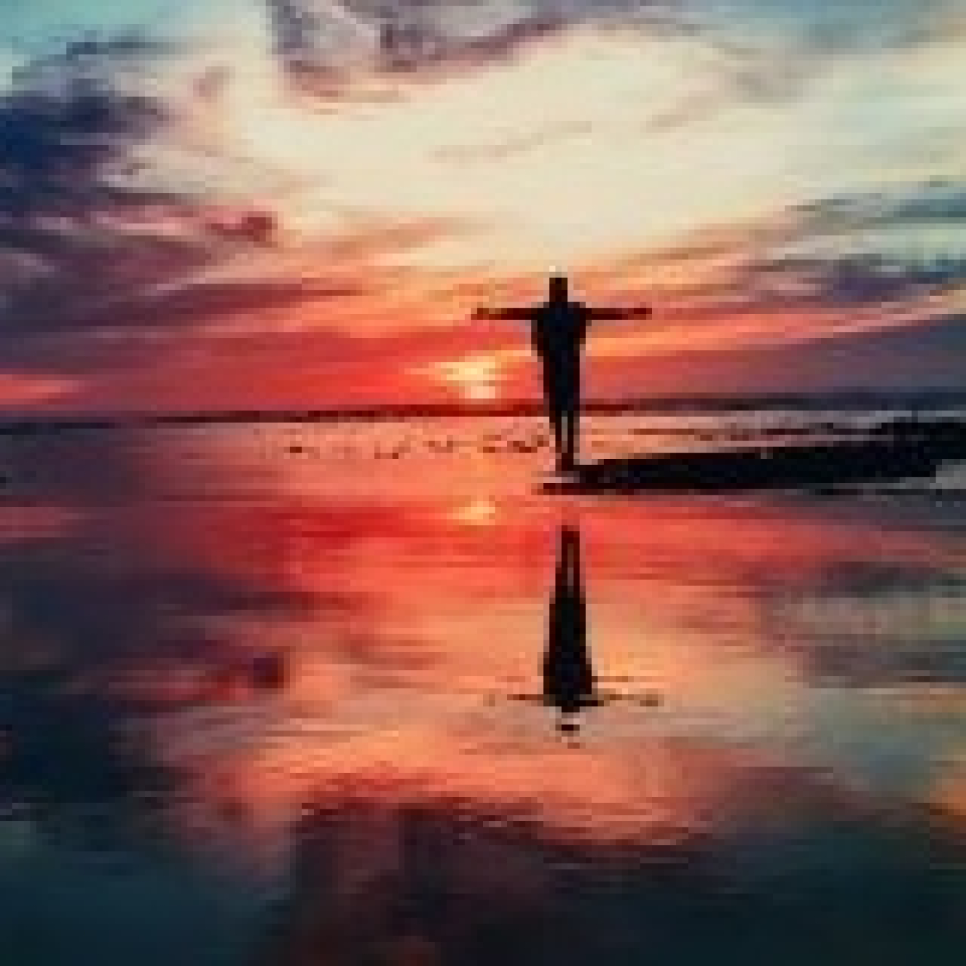 BUSCANDO LIBERTAD