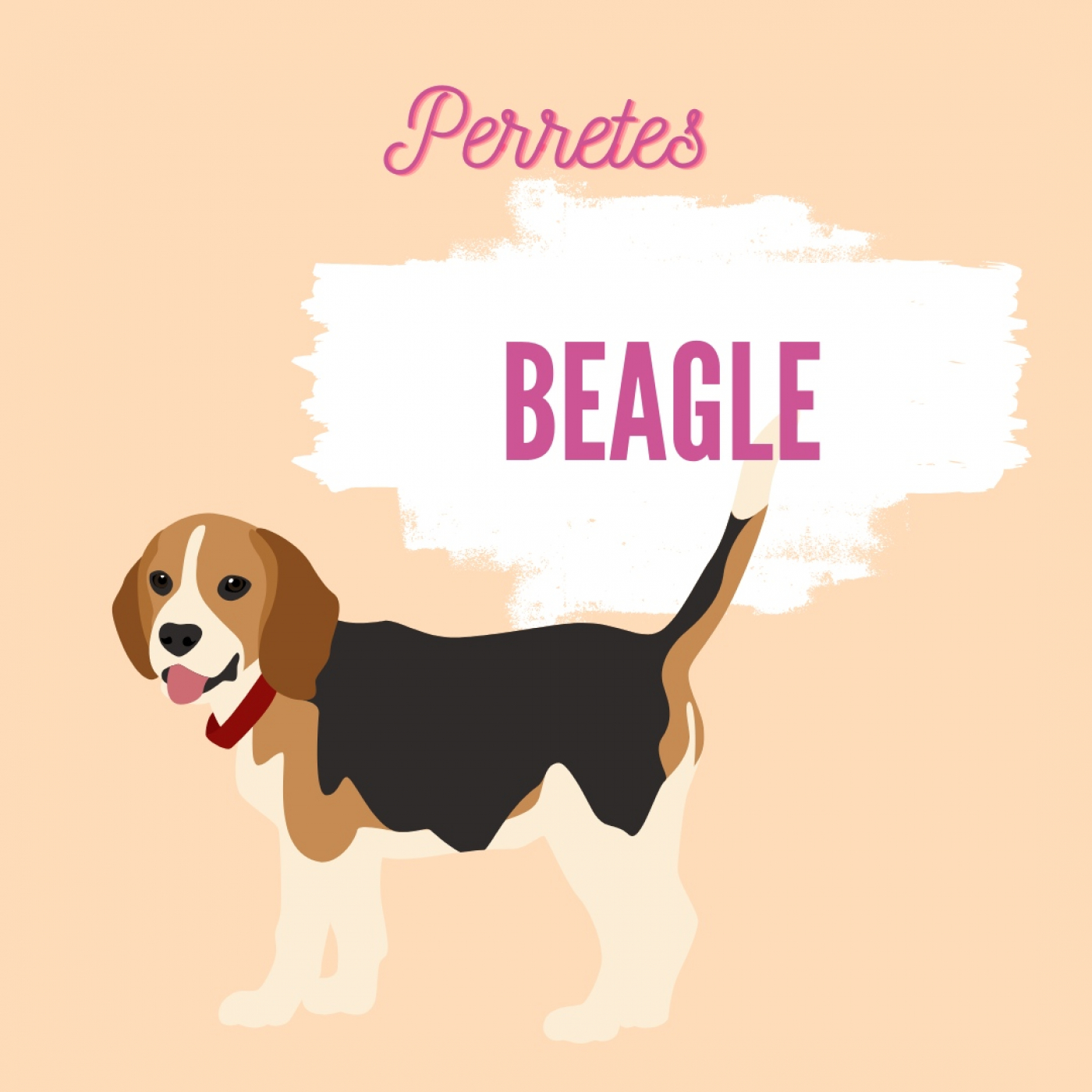 Perretes | Las razas de perros