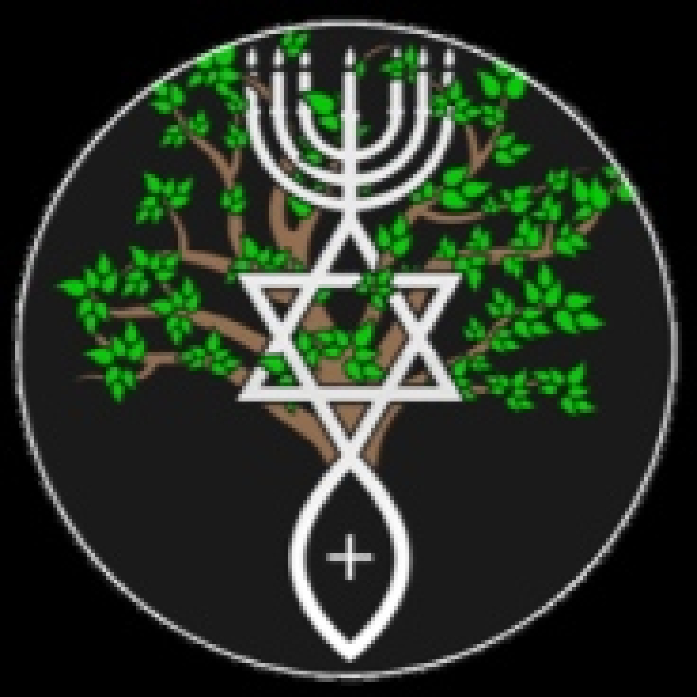 El Camino del Nazareno | Etz Jaim