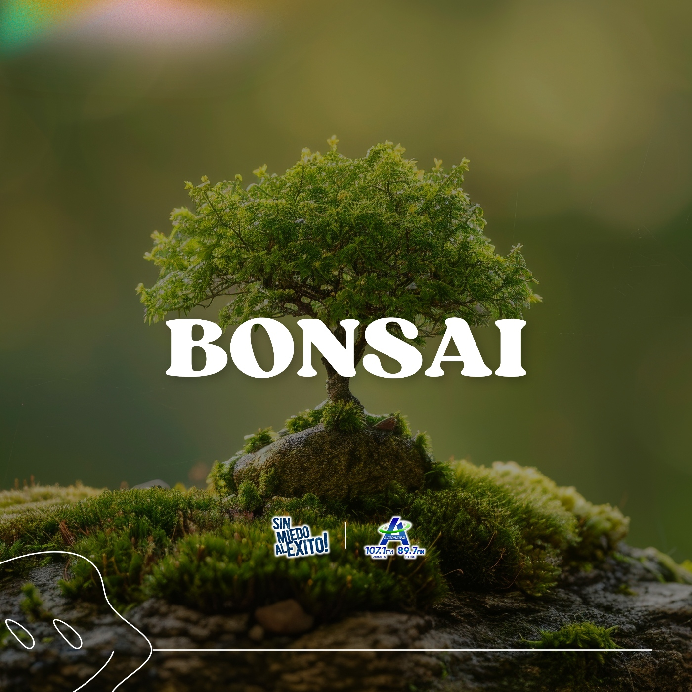 Bonsai episode artwork
