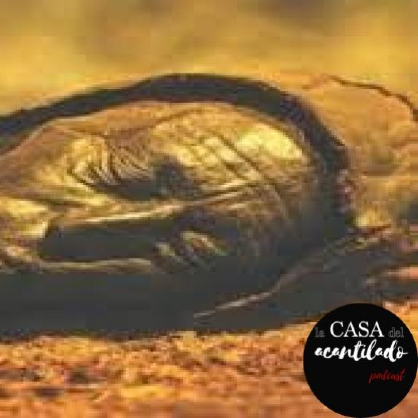 LA CASA DEL ACANTILADO